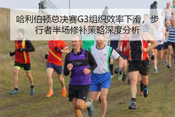 ha-li-bo-dun-zong-jue-sai-zu-zhi-xiao-lv-xia-hua-bu-xing-zhe-ban-chang-xiu-bu-ce-lve-shen-du-fen-xi-2-977.jpg